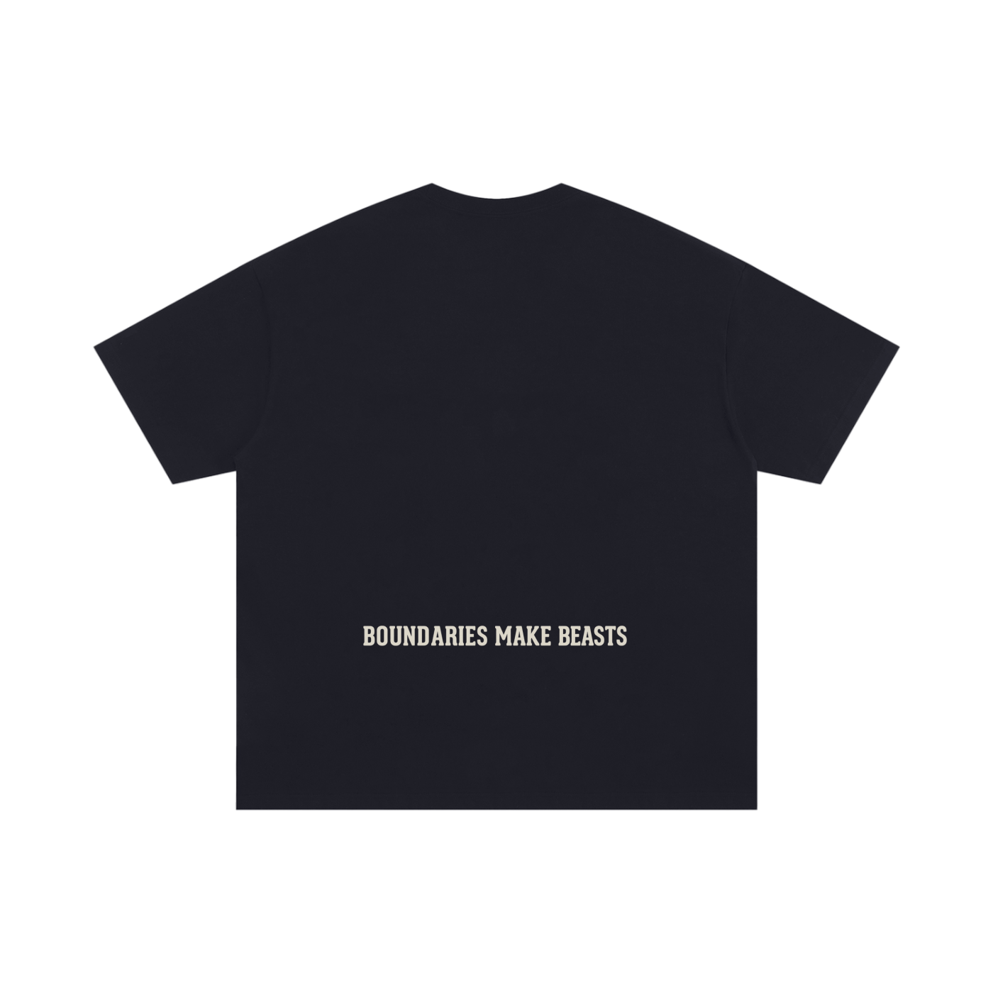 Foundation Pump Cover